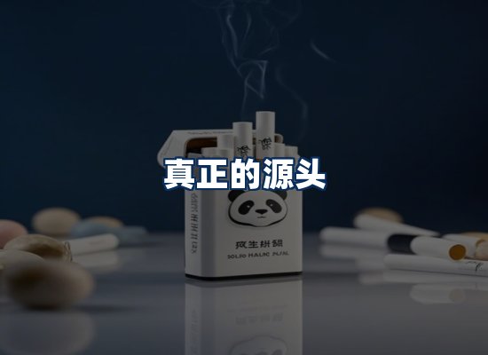 专业团队办公环境